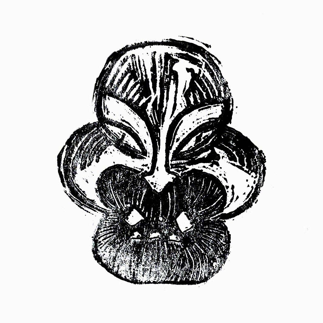 Masks